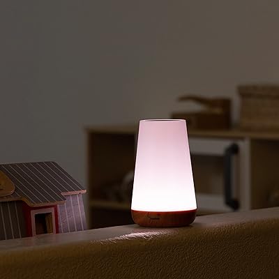 Sportly Touch - Dimmable, Portable, Bedside and Table lamp - 13 colors: for bedroom, desk or anywhere.. Find everything you need at prices you'll love with DIAYTAR NIGERIA's comprehensive e-commerce platform.