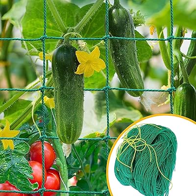 Wawasia, climbing fillet and creeping fillet fillet fillet, garden mesh fillet for outdoor climbing plants (6.6 x 9.8 feet).. DIAYTAR Nigeria delivers happiness in 5–8 days, no matter what you buy.
