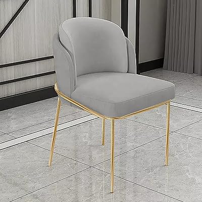 Office of Modern Luxury Luxury Bureau Dining Room Without Angela armrests, Nordic velvet restaurant furniture (light gray).. DIAYTAR NIGERIA transforms dreams into deliveries with our affordable prices and 5-8 day shipping.