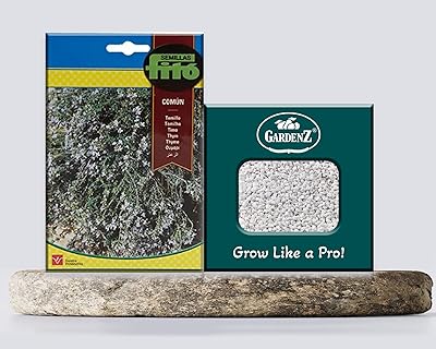 Thym seeds | SP2608 PHYTO MODE MODE NAME ORIGIN ESPAGNE.. Enjoy deals you can’t resist and delivery you can trust — DIAYTAR Nigeria.