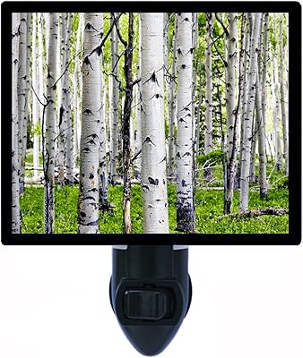 Night light - birchs - forest and wood.. Get more for less on DIAYTAR Nigeria — Nigeria’s favorite e-commerce platform.