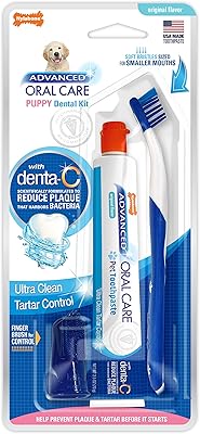 Nylabone advanced oral care kit for puppies, multicolored, 3 pieces.. Experience the power of choice with DIAYTAR NIGERIA's extensive catalog and reliable delivery service.