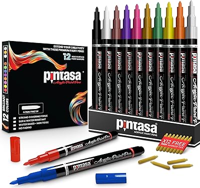 Pintasasa Lot of 12 extra fine acrylic painting pens - acrylic markers for multi -surface artistic projects and manual work - Double point added.. DIAYTAR NIGERIA transforms dreams into deliveries with our affordable prices and 5-8 day shipping.