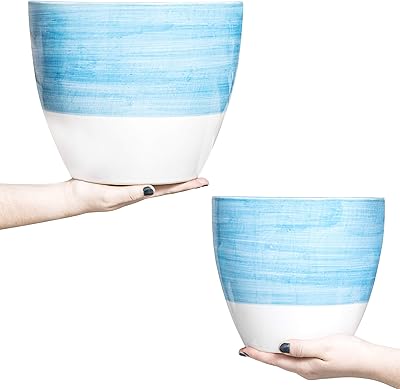 Hash & hash & 8 superior ceramic planters, batch of 2) - Large pots of ceramic flowers - flower pots with drainage holes and traffic jams (10 "and 8", blue and white).. DIAYTAR NIGERIA: Making online shopping accessible with affordable prices and nationwide delivery service.