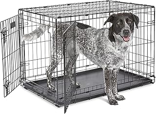Foldable metal crèche with double door for dogs with separation panel, floor protection feet and anti-sucking tray for medium-sized dogs, 36 inches, black.. Find everything you need at prices you'll love with DIAYTAR NIGERIA's comprehensive e-commerce platform.