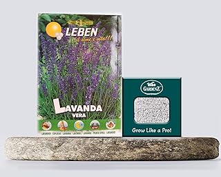 Lavender seeds | washed true lipin + pearl rite box (5l).. DIAYTAR NIGERIA delivers what matters - quality, affordability, and prompt nationwide shipping.