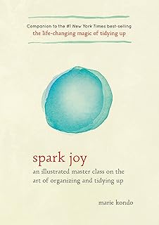 The joy of ignition: a class of master illustrated on the art of organizing and storing.. DIAYTAR NIGERIA: Your partner in affordable online retail with reliable delivery across the nation.