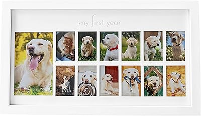 Photo Bulldog Vert My first year for dog | 12 month photo frame | White wooden frame | Baby frame in fur | Fur photo display | Souvenir frame for dog | dog birthday gift.. DIAYTAR NIGERIA: Bringing quality products to every Nigerian with affordable nationwide delivery.