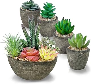 Set of 5 -room artificial succulents, realistic artificial succulents, cement -shaped pots, home office decoration... Shop without compromise at DIAYTAR NIGERIA, where quality, affordability, and quick delivery coexist.