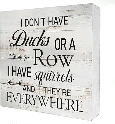 Funny office quote, I have no ducks or a row, wooden box panel, desktop decor, rustic and humorous wooden block plate, house box panel, living room, shelf, table decoration (5 x 5 inches).. Your complete e-commerce destination, DIAYTAR NIGERIA combines variety with budget-friendly nationwide shipping.
