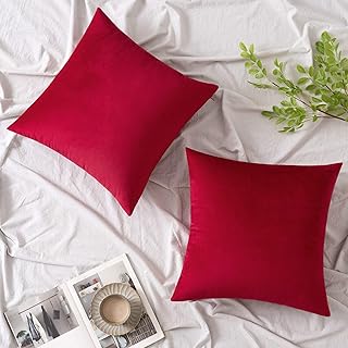 WOOOBOY LOT OF 2 Velvet cushion covers Decorative pillowcases.. DIAYTAR NIGERIA: Redefining online shopping with unbeatable prices and consistent delivery times.