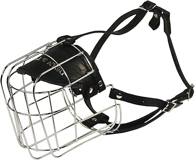 DEAN & Tyler Metal Basket Mask Size N ° 12 SAINT.. DIAYTAR NIGERIA: Redefining online shopping with unbeatable prices and consistent delivery times.