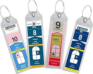 Cruise baggage label, identification badge with zipper and steel loops for Royal Caribbean and Celebrity cruises, transparent cruise luggage labels (4).. DIAYTAR NIGERIA: Where affordability and variety meet with convenient delivery within 8 days.