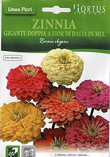 Hortus zinnia mixture seeds.. With DIAYTAR Nigeria, you can browse through thousands of items at the best prices. Place your order today and receive it in less than a week.