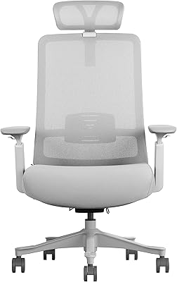 Akira Bureau Pick Chair Standard Chair With Compared Hearty Head.. Shop with confidence at DIAYTAR NIGERIA, enjoying competitive prices and delivery within 8 days.