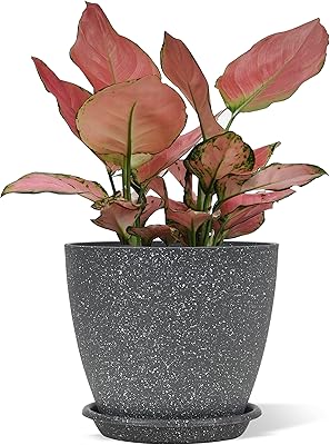 Interior flowerpot with drainage holes and tray, simple plastic flower pot (7 inches, dark gray).. Experience the DIAYTAR difference with our vast product selection and delivery within 5-8 days.