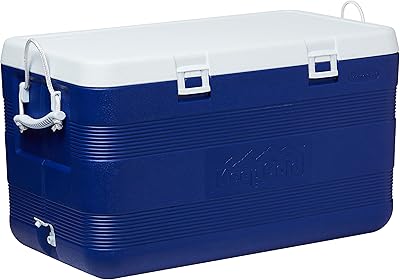 Plastic cosmoplast to keep frozen foods, capacity 127 liters.. DIAYTAR NIGERIA makes online shopping accessible to all with budget-friendly prices and reliable delivery.