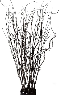 FELIX 10 pieces of curly and vibrant root branches dried twigs.. Nigeria's most loved e-commerce platform delivers affordable shopping solutions to your doorstep.