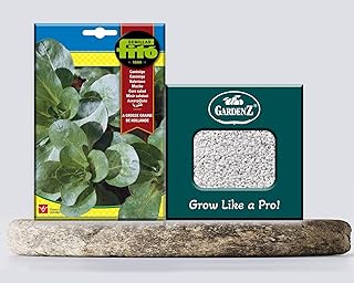 Green corn salad seeds from a big a Hollanda, reference SB 3089 Brand Phyto | Origin Italia + Perlite planter (5L) Bay Gardens.. Discover the joy of online shopping with DIAYTAR NIGERIA's budget-friendly prices and reliable shipping.