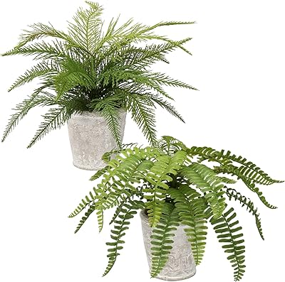 Package of 2 artificial boston fern plants in pot, interior decoration for the house, the office, the porch, the wedding, green.. Thousands of choices. Zero hassle. All thanks to DIAYTAR Nigeria.