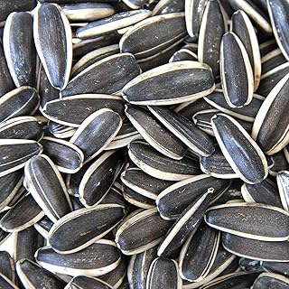 Large sunflower seeds imported for gray parrot, Indian parrot, cockatoo and exotic birds of Aqua Nature (1 kg).. Experience the DIAYTAR difference with our vast product selection and delivery within 5-8 days.