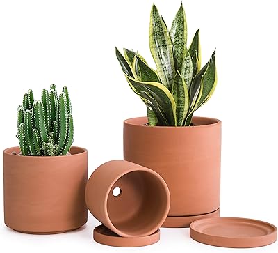 Pots of Divine Terracotta Plants Dave, 4.2 ", 5.3", 6.5 ", Succulent planter with drain and saucer, 40-a-1.. Your complete marketplace solution, DIAYTAR NIGERIA offers unbeatable value with delivery within the week.