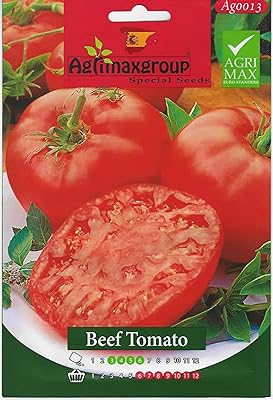 Tomato seeds AGRIMAX HIGH QUALITY ESPAGNE DXB Garden (Flesh tomato).. Everything you need is on DIAYTAR Nigeria — just a click away.