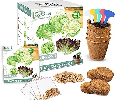 Organic garden seed kit of 4 different seeds for lettuce, lettuce, spinach, arugula and outdoor life.. DIAYTAR NIGERIA brings the market to your fingertips with affordable prices and swift delivery services.