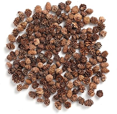 Behr crafts mini pine cones, 8 oz, pack of 110 (natural).. Great products, lower prices, fast delivery — DIAYTAR Nigeria has it all.