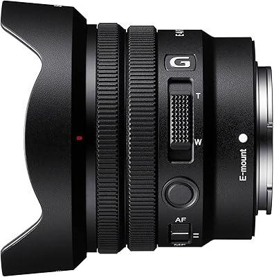 Zoom objective with constant power Sony G ipz10 20 mm F4 G APS-C, SELP1020G, black.. Browse, shop, and receive — DIAYTAR Nigeria keeps it simple.