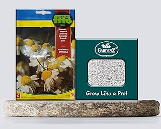 Chamomile seeds | Ref. brand SB 648 Fito Origin Spain.. Get your essentials without leaving home — thanks to DIAYTAR Nigeria.