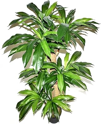Artificial Brazilian plant, artificial tree, garden plants, garden decoration, interior decoration, artificial plants - Tree.. DIAYTAR NIGERIA revolutionizes online shopping with competitive prices and reliable 5-8 day delivery.