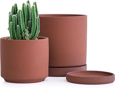 Set of small flower pots, pot of terracotta flowers not enamelled with 4.5 "and 6" for plants with drainage hole and saucer, terracotta, 40-.. Experience shopping without stress at DIAYTAR NIGERIA's comprehensive and budget-friendly platform.