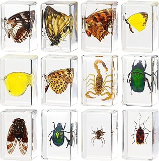 The White Shop 12 pieces of resin insect specimens, a set of resin clips, various specimens of insects preserved in children's resin, a scientific educational toy.. Looking for great deals without compromising on quality? DIAYTAR Nigeria brings you thousands of top products at affordable rates, delivered straight to your doorstep.