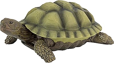 Design Tuscano Gilbert La Figurine De Jardin Tortue-Boîte, 9 inches, QM1887611, color.. Your one-click solution to affordable shopping, DIAYTAR NIGERIA delivers quality products nationwide.