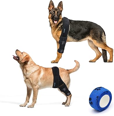 Knee and leg orthotis for dogs Eidealtm for tears of LCA and lighter ball - Orthosis of rear leg and front adjustable and washable front for injury prevention and rehabilitation (small).. DIAYTAR NIGERIA connects you with what you need at prices you'll love, delivered within 8 days.