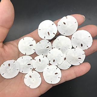 Pepperlonely 50pc Small dollars of natural white sand for wedding crafts, 1/4 inch ~ 1/2 inch.. DIAYTAR NIGERIA: Connecting Nigerians with their needs through affordable prices and 5-8 day shipping.