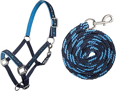 10025 Licou star Licou Ensemble and Boney Shetty carabiner strap.. DIAYTAR NIGERIA stands as your affordable shopping ally with nationwide delivery in just 5-8 days.