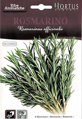 High quality Hortus rosemary seeds Italy.. Shop without limits at DIAYTAR NIGERIA and receive your purchases at budget prices within the week.