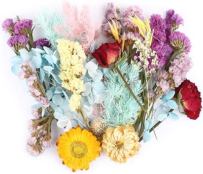 Pack of real Batesin dried flowers for the manufacture of handmade resin jewelry (mixed random colors).. Home to endless choices and pocket-friendly prices — DIAYTAR Nigeria.