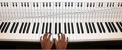 Piano notes and keyboard table for 88 keys, to be used behind the keys, perfect visual tool for beginners learning the piano or the keyboard, easy to install.. DIAYTAR NIGERIA: Where every purchase is affordable and delivery is always within a week.