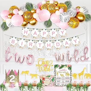 Two wild birthday decorations for 2nd birthday home by safari on the theme of the.. Why wait? Get your order in 5–8 days with DIAYTAR Nigeria.