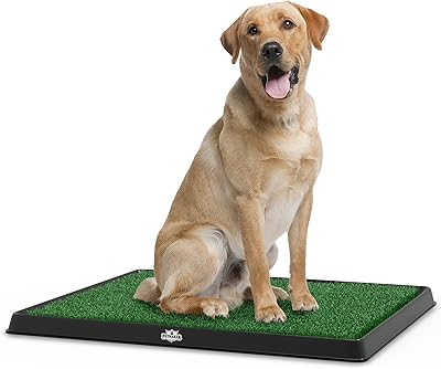 Synthetic grass pee cushion for dogs and small animals.. DIAYTAR NIGERIA brings retail convenience to your screen with affordable prices and dependable shipping.