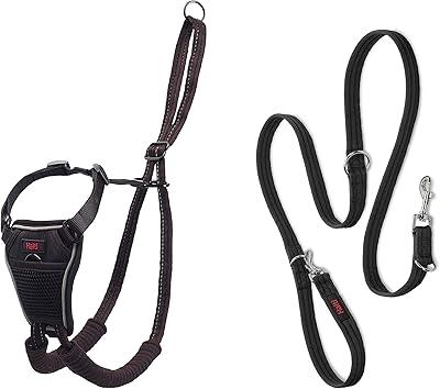 Halti anti-Traction chest harness set with dressage leash stop pulling your dog.. One platform, all your needs — DIAYTAR Nigeria delivers quickly.