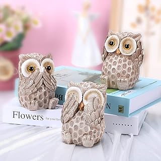 Zj Host Owl Figurine Interior Decoration Living Room TV Furniture Bathroom Bathroom Library 3 rooms cute owl figures. BFF gifts for all.. DIAYTAR NIGERIA: Your trusted e-commerce partner with extensive product choices and affordable delivery.