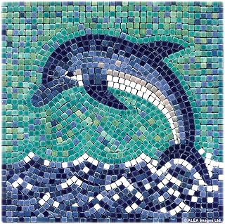 Mosaic art kit 7 inch square 20 x cm Dauphin.. Your budget-friendly online marketplace, DIAYTAR NIGERIA delivers a world of products in just 5-8 days.
