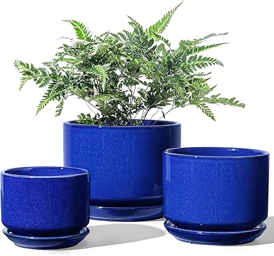 Ceramic plant pots li taosi, 4.3 + 5.3 + 6.8 inches, lot of 3, flower pots with drainage hole and saucer, interior flower pot with mesh hole, gifts for mom, sapphire blue.. DIAYTAR NIGERIA: Your affordable marketplace with reliable 5-8 day shipping across Nigeria.