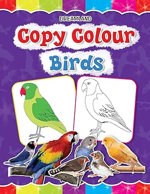 Copy the color - Birds.. DIAYTAR NIGERIA: Your affordable gateway to thousands of products delivered promptly nationwide.