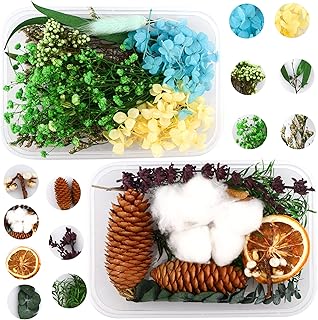 Homarket Lot of 2 flowers and natural dried leaves for DIY photo accessories, lots of dried flowers with patterns for wedding, house, party.. Order today, receive in days — DIAYTAR Nigeria makes it possible.