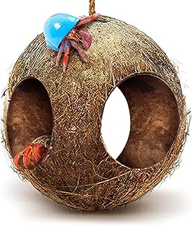 Hermit Sungrow 44 "crab hut with 3 nut holes.. Discover the convenience of DIAYTAR NIGERIA's vast product range delivered affordably in 5-8 days.